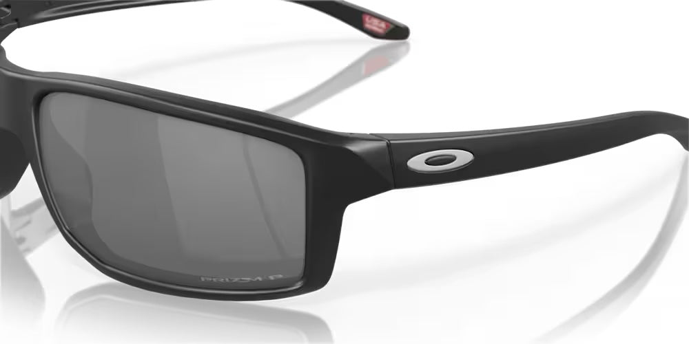 GIBSTON - MATTER BLACK - PRIZM BLACK POLAR