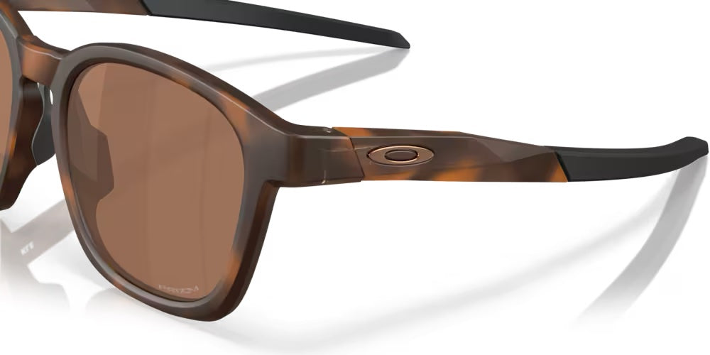 SHACKLE - MATTE BROWN TORTOISE - PRIZM TUNGSTEN