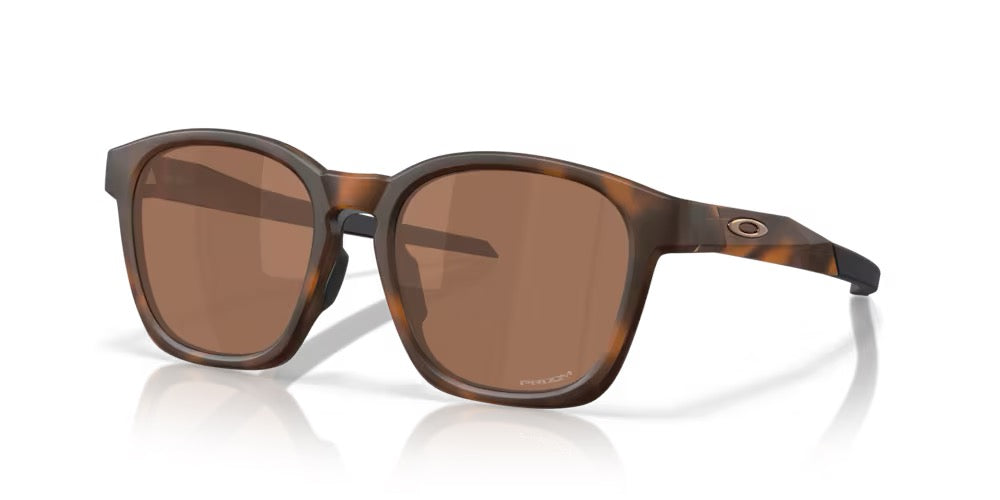 SHACKLE - MATTE BROWN TORTOISE - PRIZM TUNGSTEN