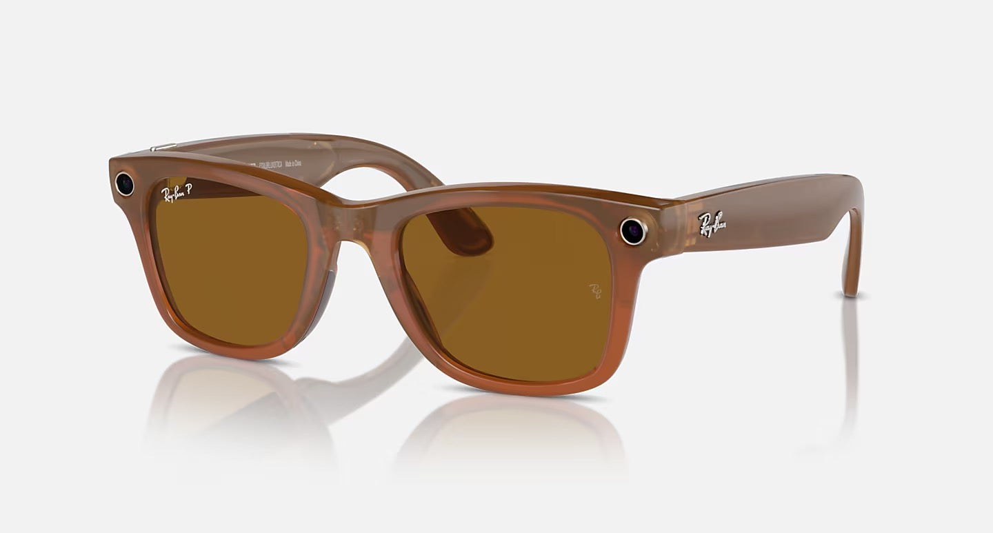 RAY-BAN META / WAYFARER POLARIZED