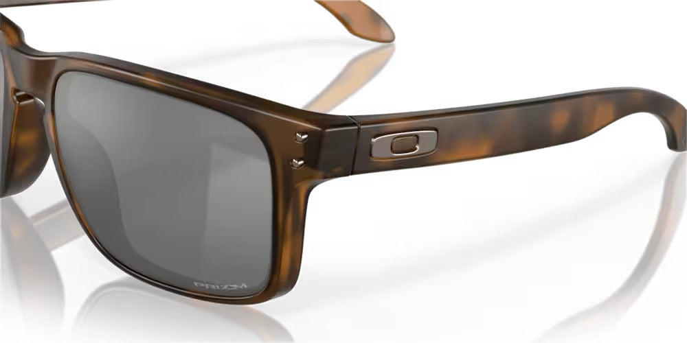 HOLBROOK - MATTE BROWN TORTOISE - PRIZM BLACK