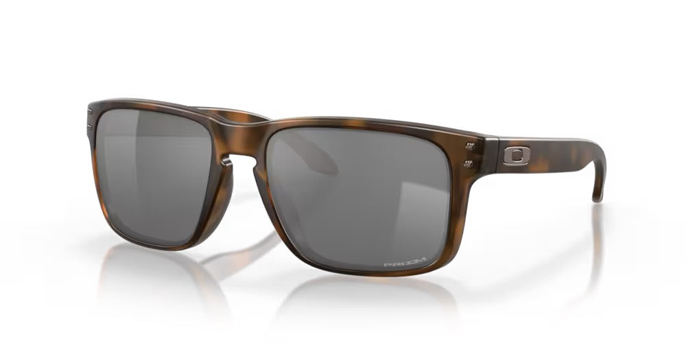 HOLBROOK - MATTE BROWN TORTOISE - PRIZM BLACK