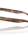FROGSKINS - MATTE BROWN TORTOISE - PRIZM TUNGSTEN