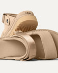 W'S GOLDENSTAR GLIDE