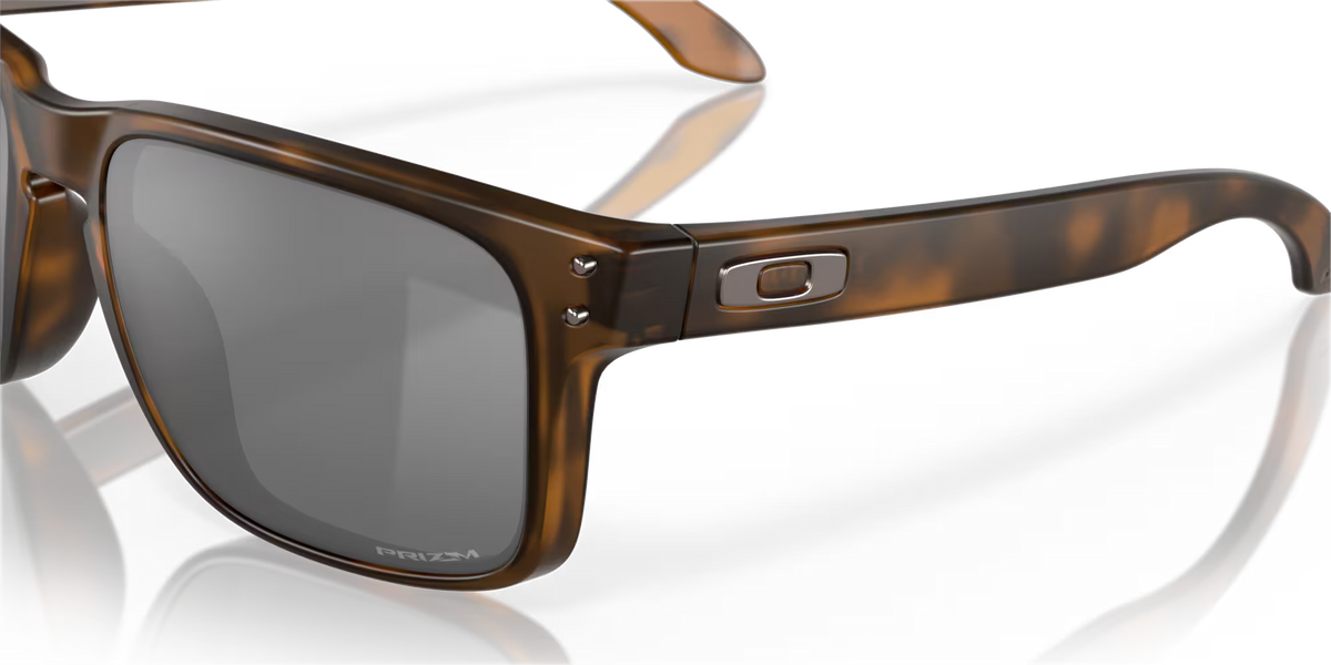 HOLBROOK - MATTE BROWN TORTOISE - PRIZM BLACK